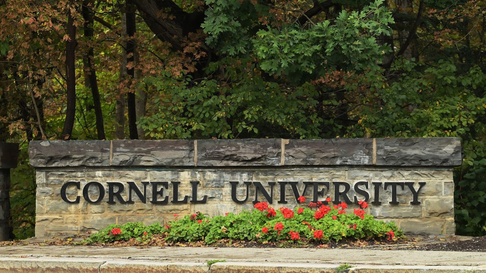 Woman at centre of Cornell rape allegations has been threatened, lawyer says