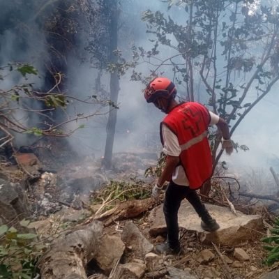 Ecuador intelligence boss and US news exec among seven killed in helicopter crash